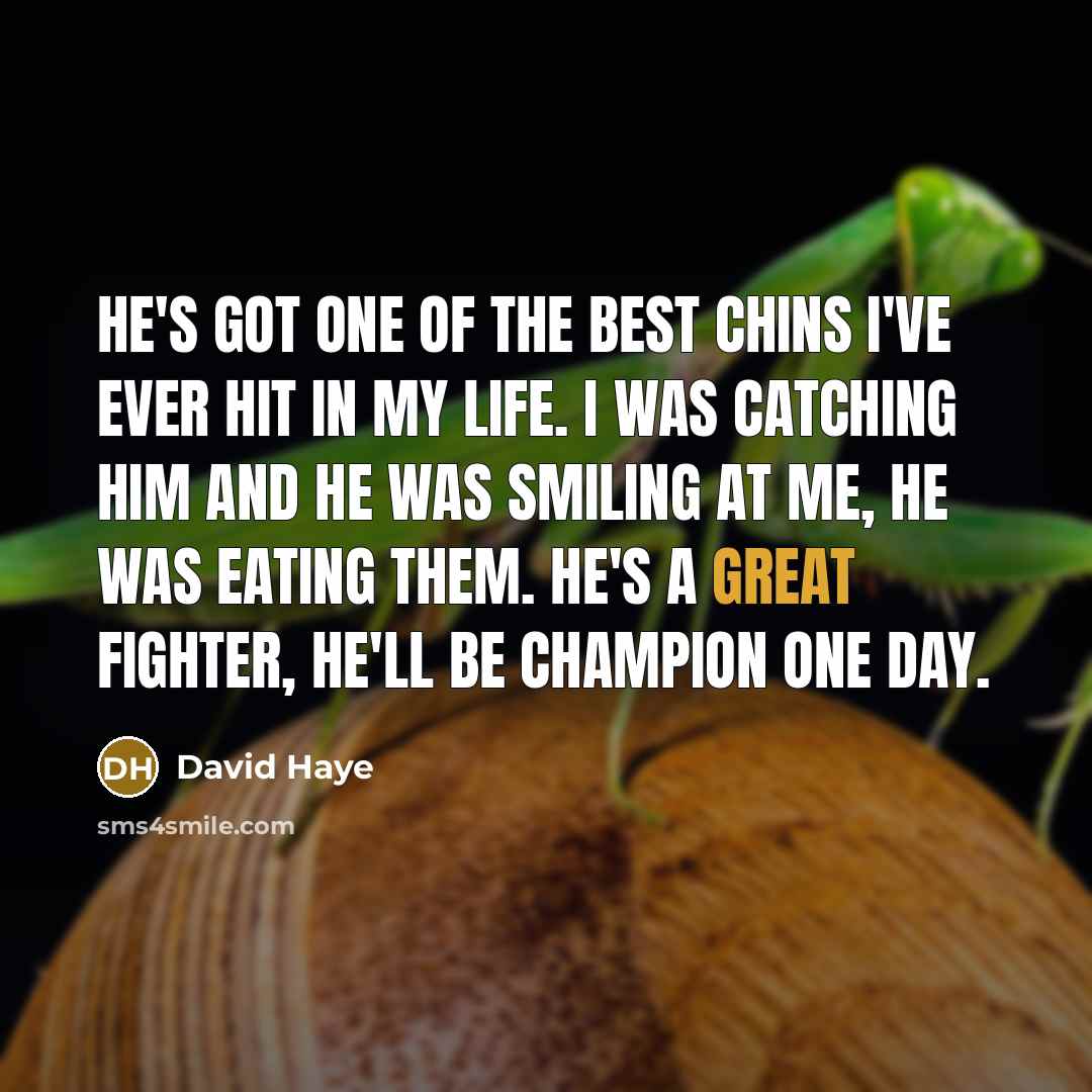“He's got one of the best chins I've ever hit…” quote by David Haye