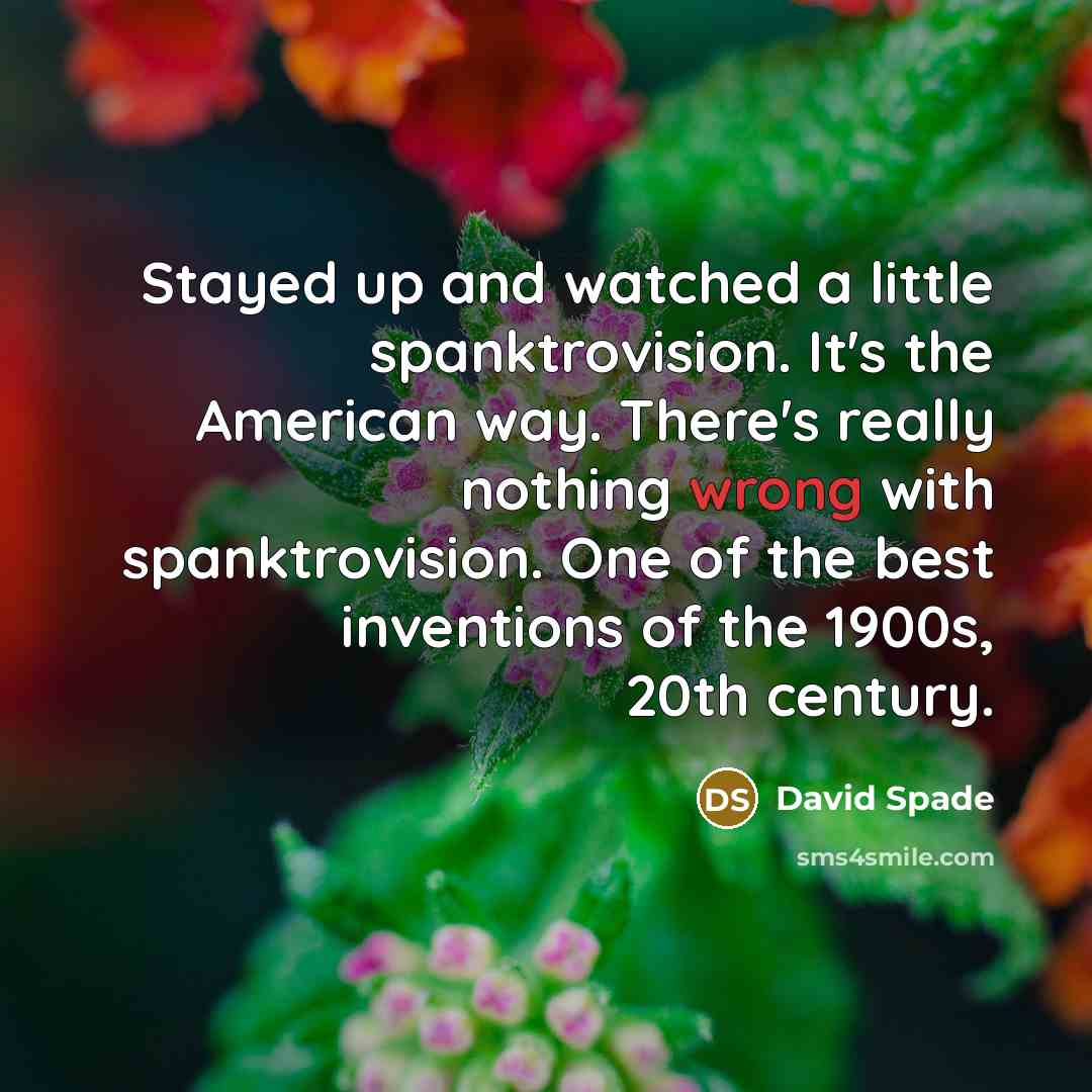 “Stayed up and watched a little spanktrovision. It's the American…” quote by David Spade