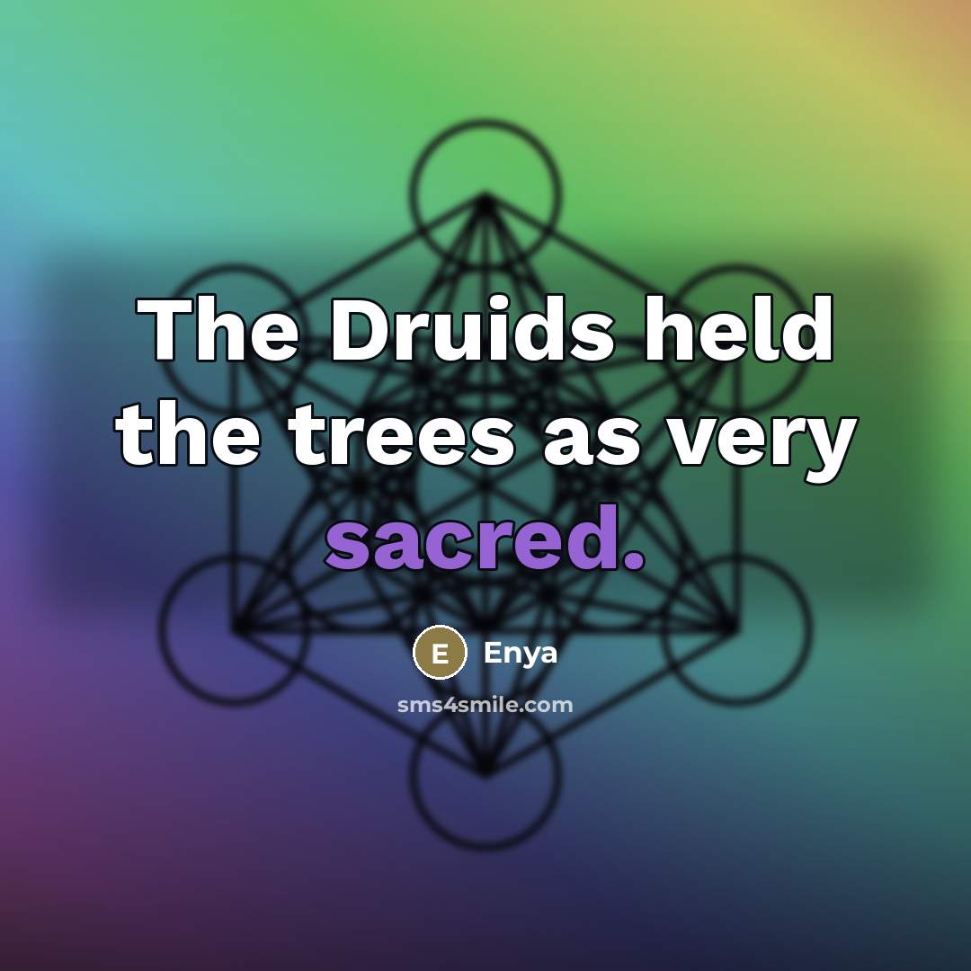 “The Druids held the trees as very sacred.…” quote by Enya