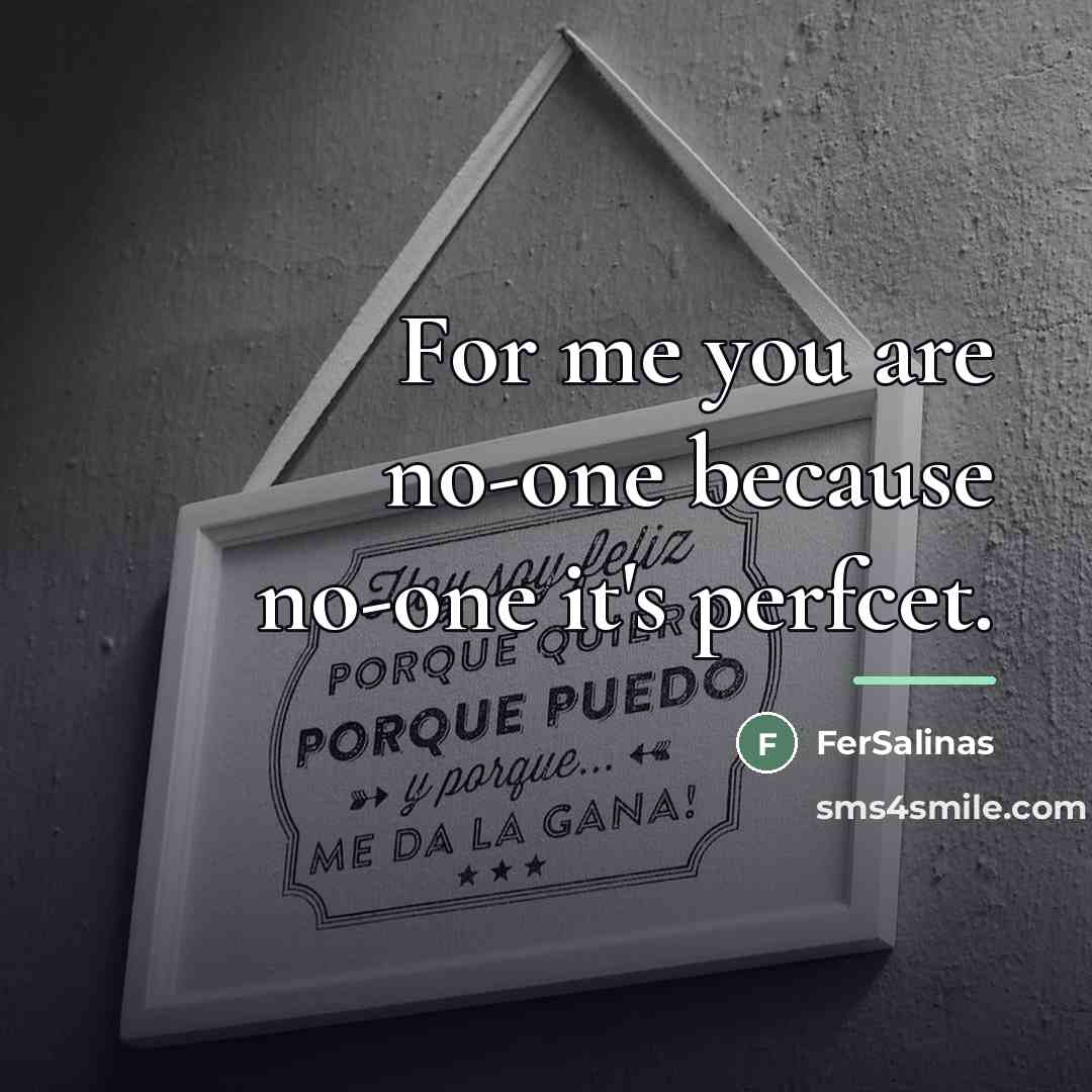“For me you are no-one because no-one it's perfcet.…” quote by FerSalinas