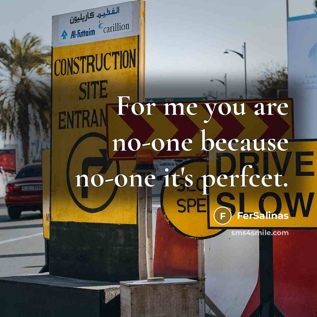 “For me you are no-one because no-one it's perfcet.” quote by FerSalinas