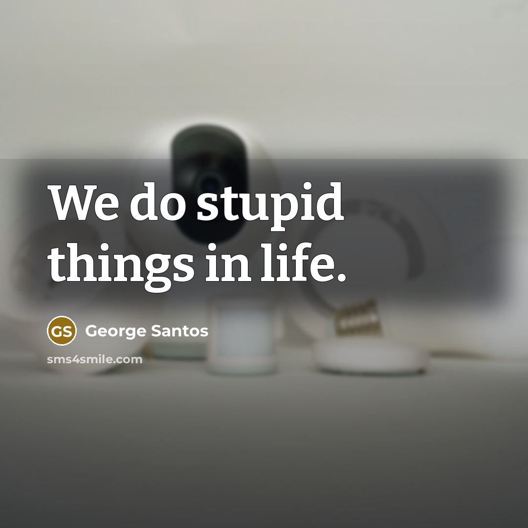 “We do stupid things in life.…” quote by George Santos