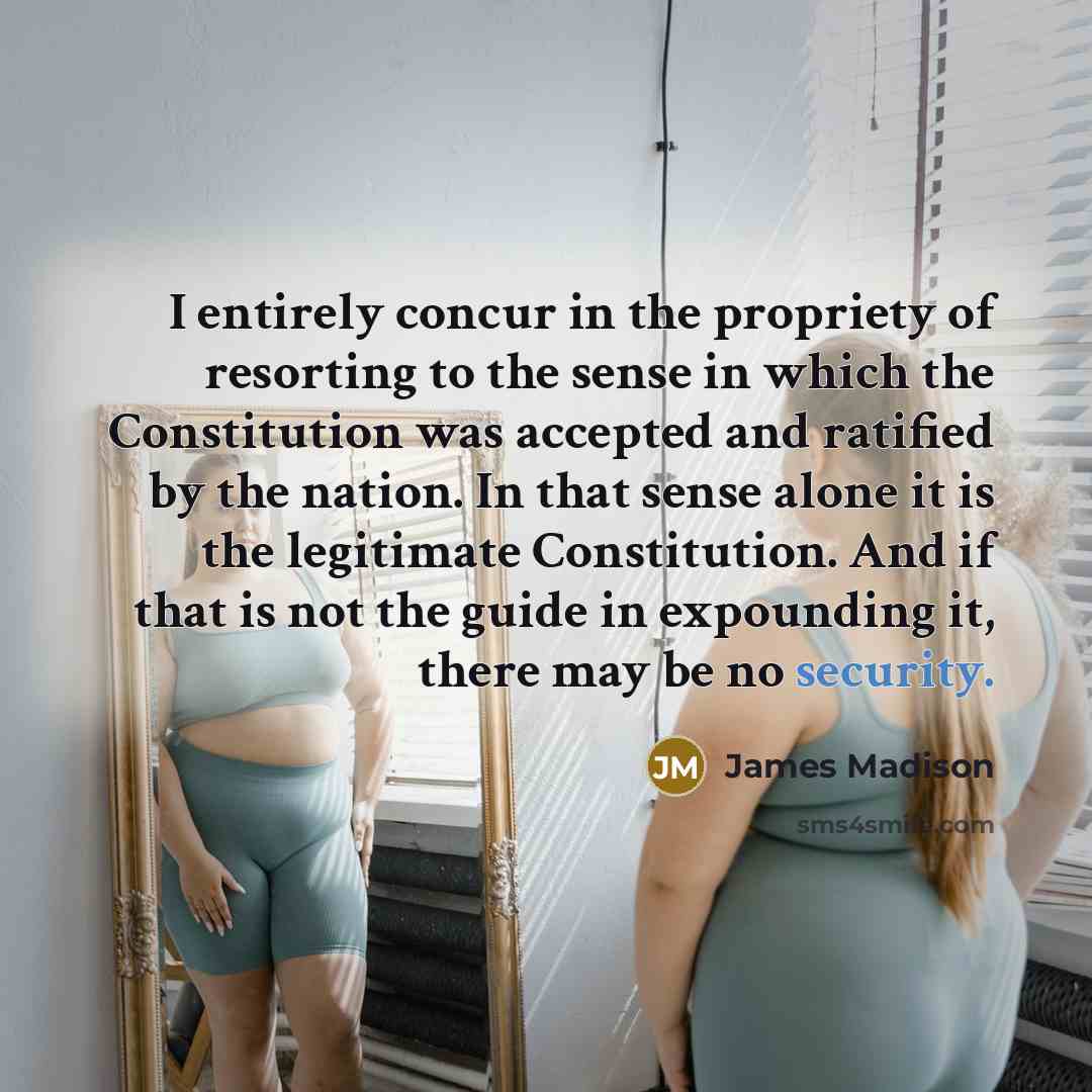 “I entirely concur in the propriety of resorting to the…” quote by James Madison