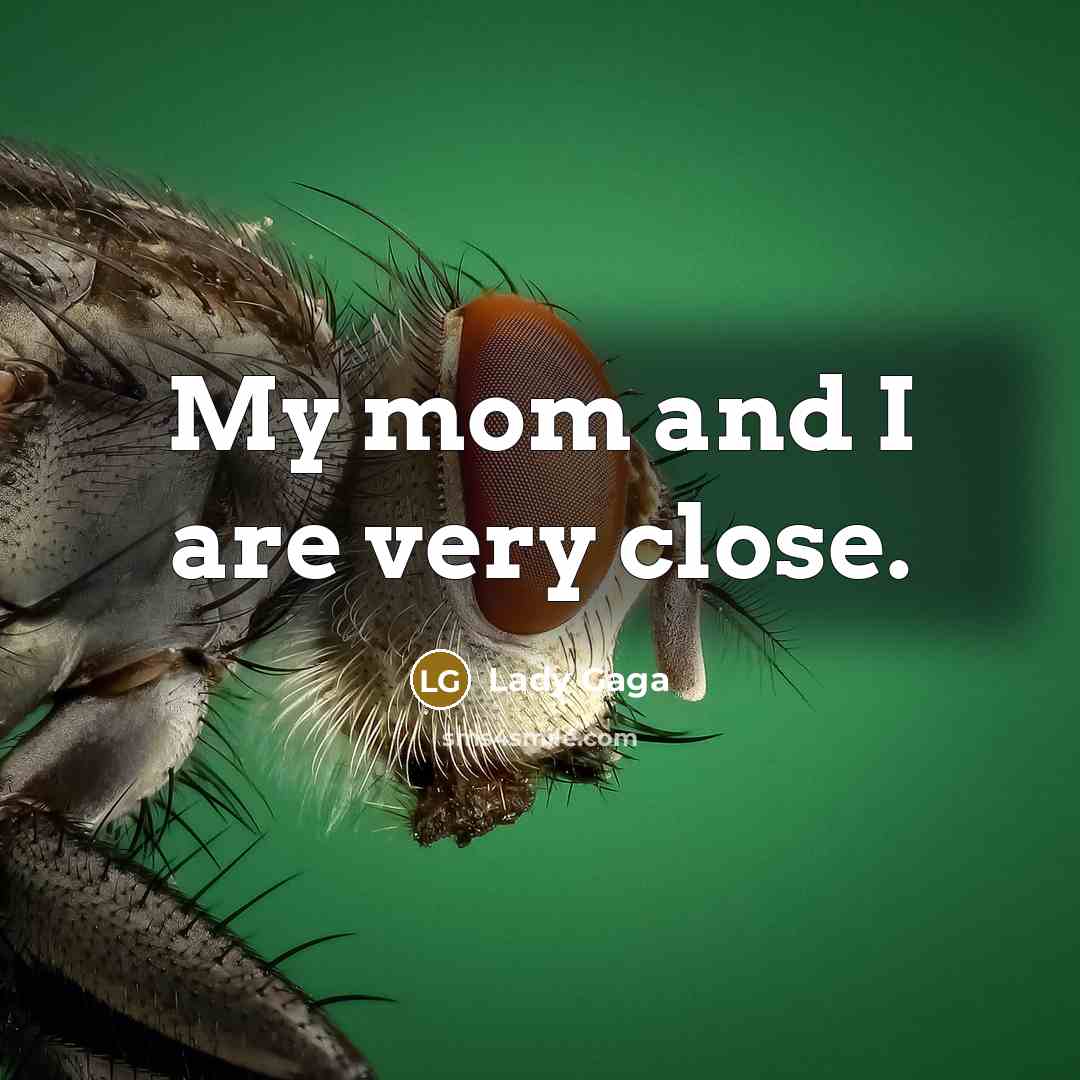 “My mom and I are very close.…” quote by Lady Gaga