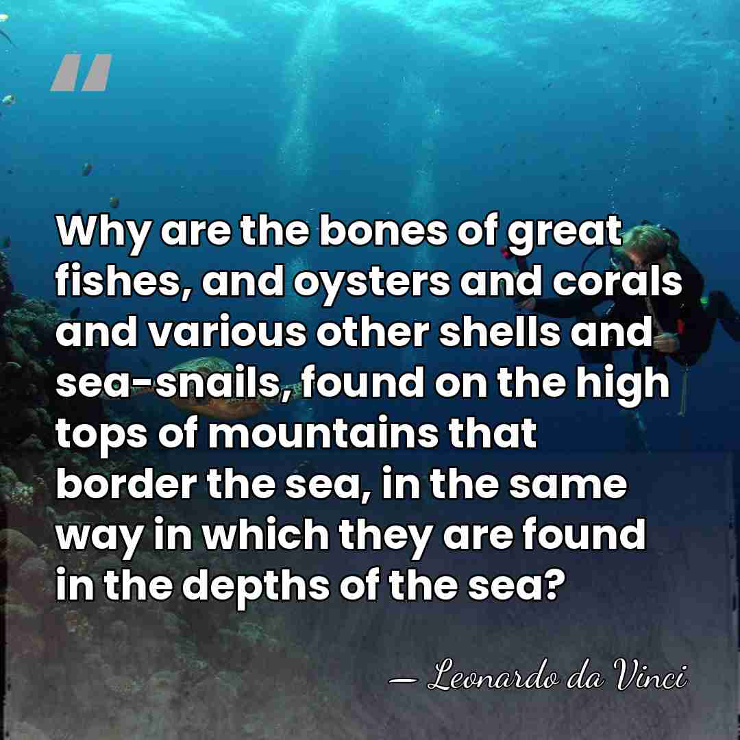 Why are the bones of great fishes, and oysters and corals and&hellip; - Leonardo da Vinci