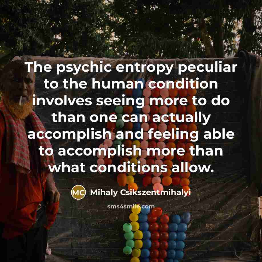 “The psychic entropy peculiar to the human condition involves seeing…” quote by Mihaly Csikszentmihalyi