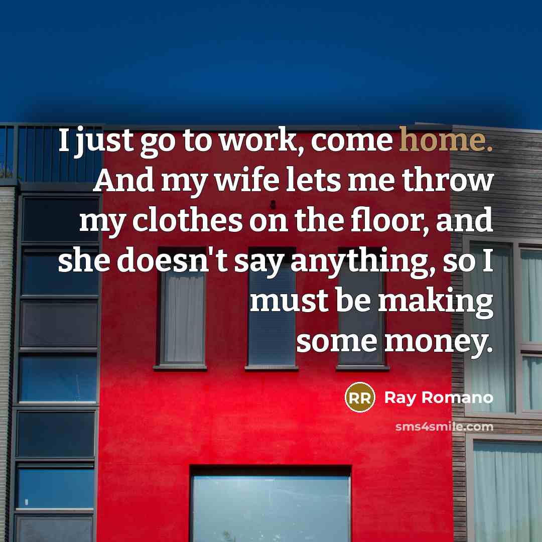 “I just go to work, come home. And my wife…” quote by Ray Romano