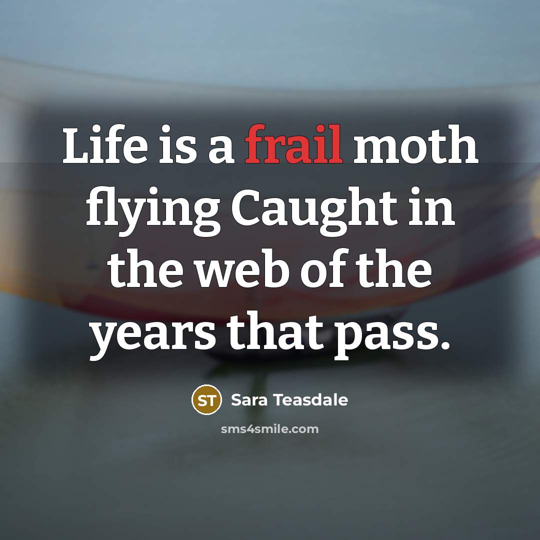 “Life is a frail moth flying Caught in the web…” quote by Sara Teasdale