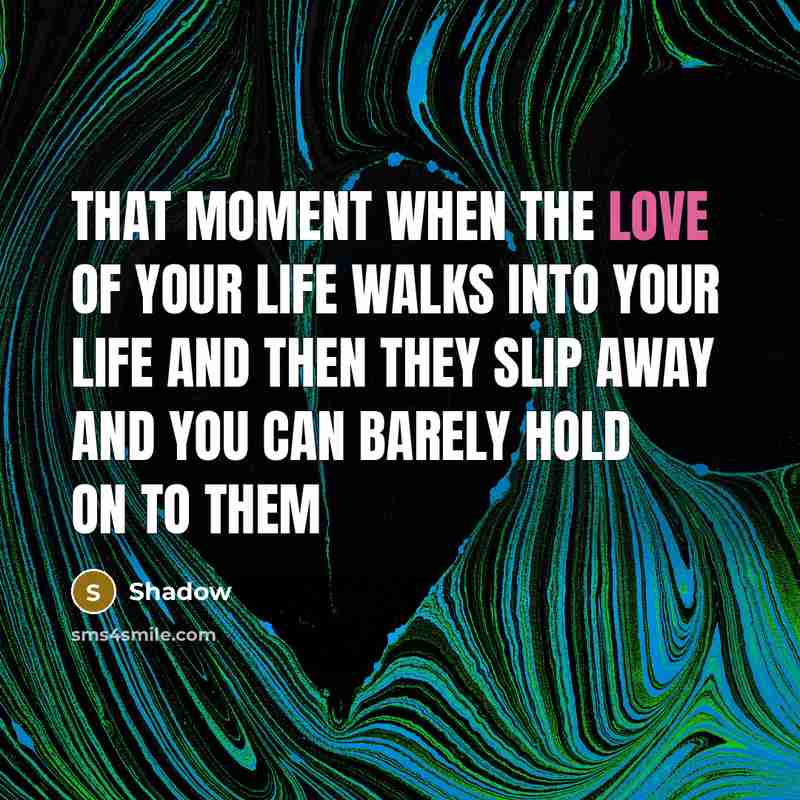“That moment when the love of your life walks into…” quote by Shadow