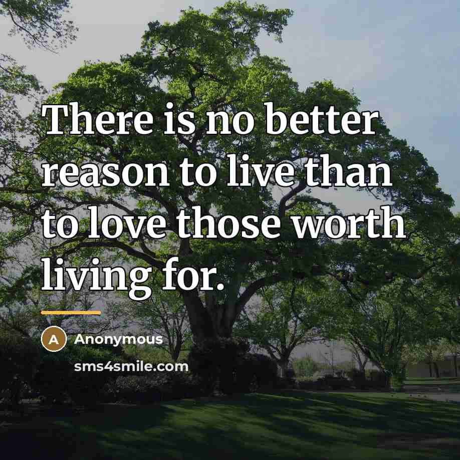 “There is no better reason to live than to love…” quote by Anonymous
