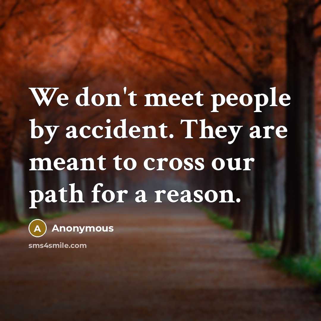 “We don't meet people by accident. They are meant to…” quote by Anonymous