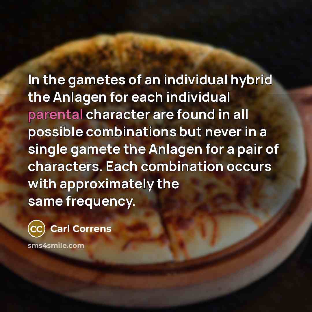 “In the gametes of an individual hybrid the Anlagen for…” quote by Carl Correns