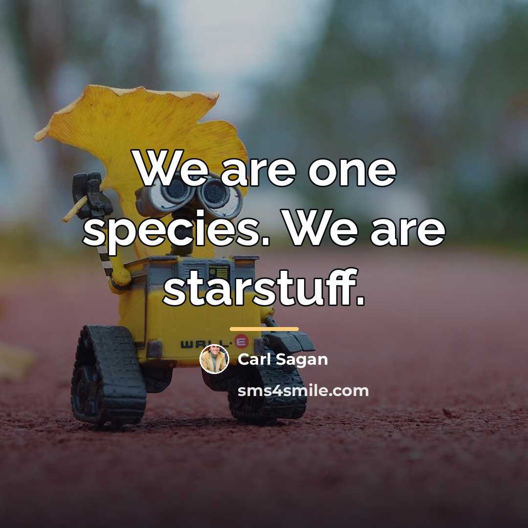 “We are one species. We are starstuff.…” quote by Carl Sagan