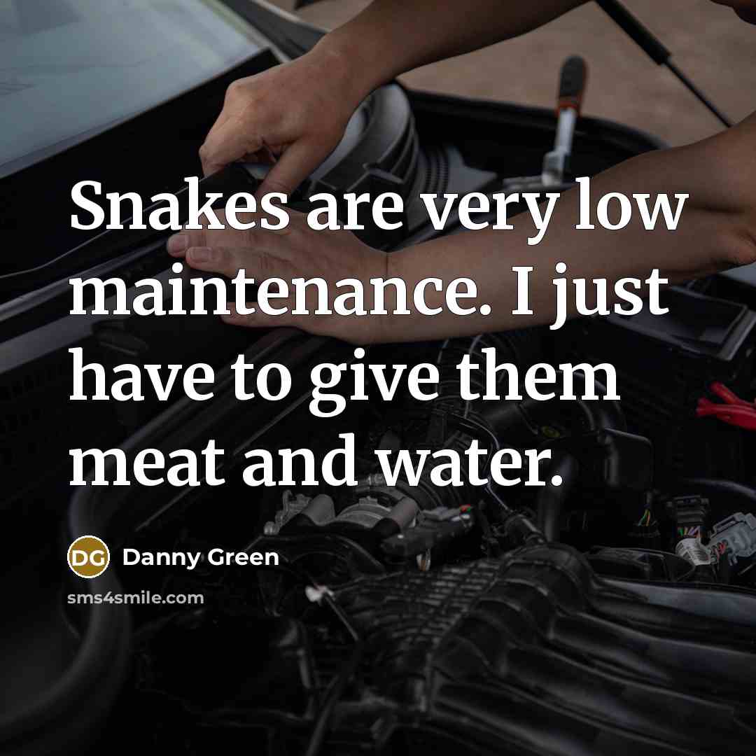 “Snakes are very low maintenance. I just have to give…” quote by Danny Green