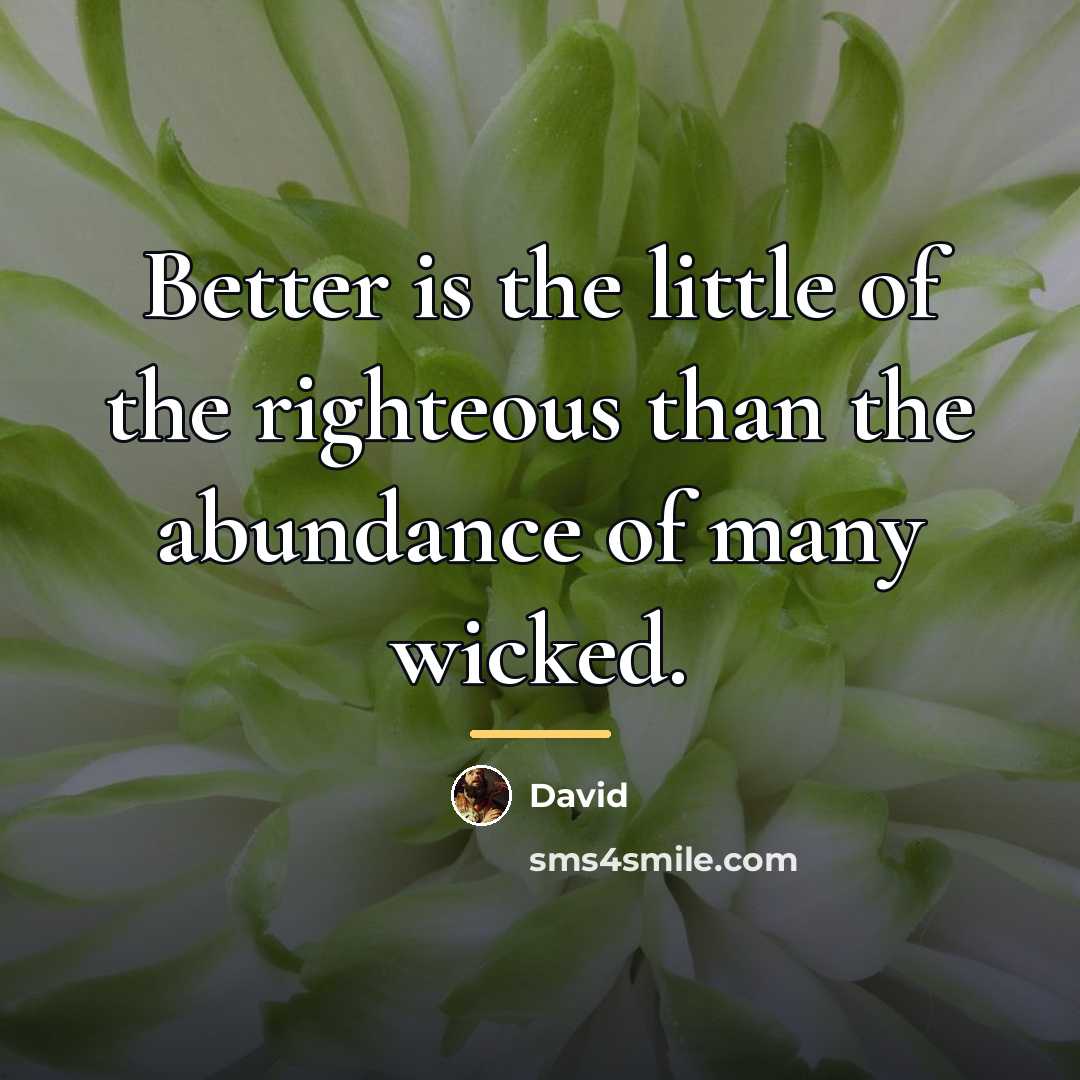 “Better is the little of the righteous than the abundance…” quote by David