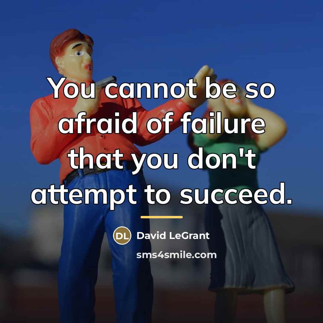 “You cannot be so afraid of failure that you don't…” quote by David LeGrant