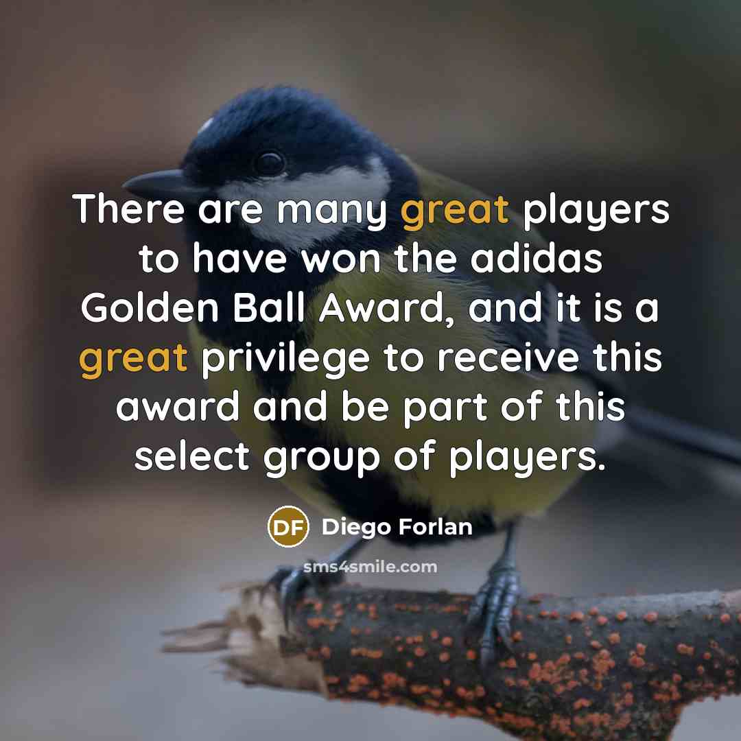 “There are many great players to have won the adidas…” quote by Diego Forlan