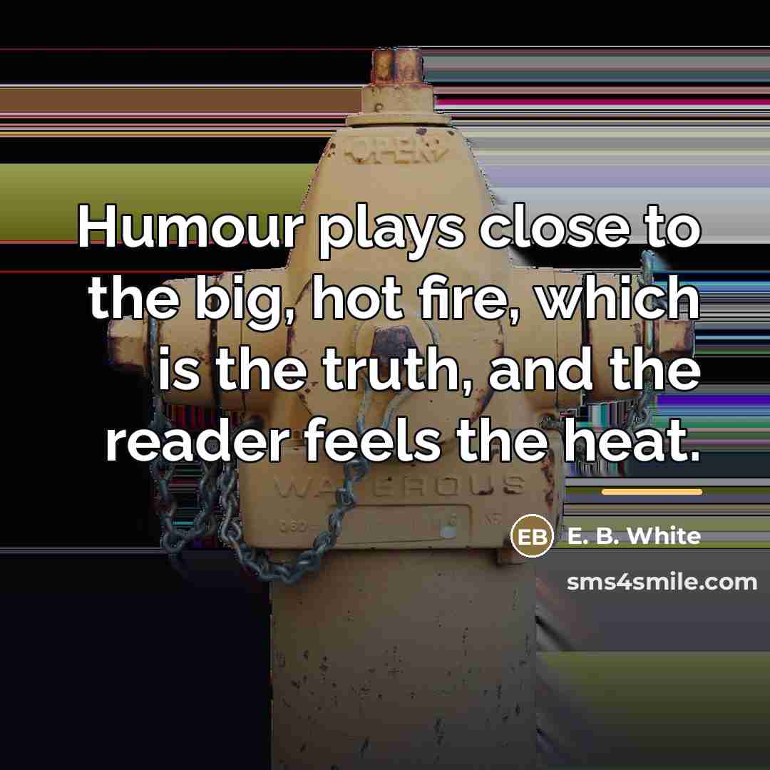 “Humour plays close to the big, hot fire, which is…” quote by E. B. White