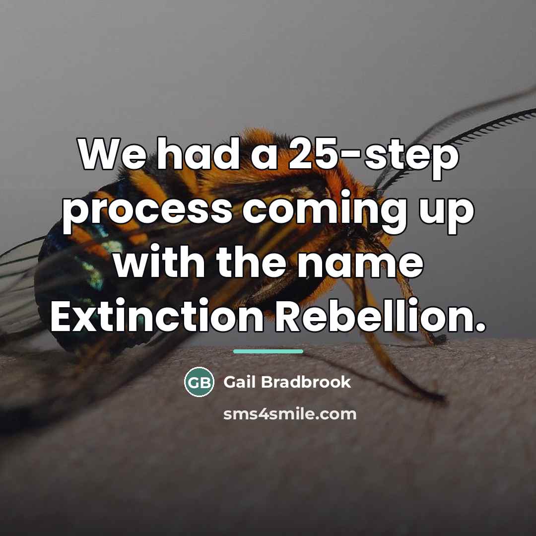 “We had a 25-step process coming up with the name…” quote by Gail Bradbrook