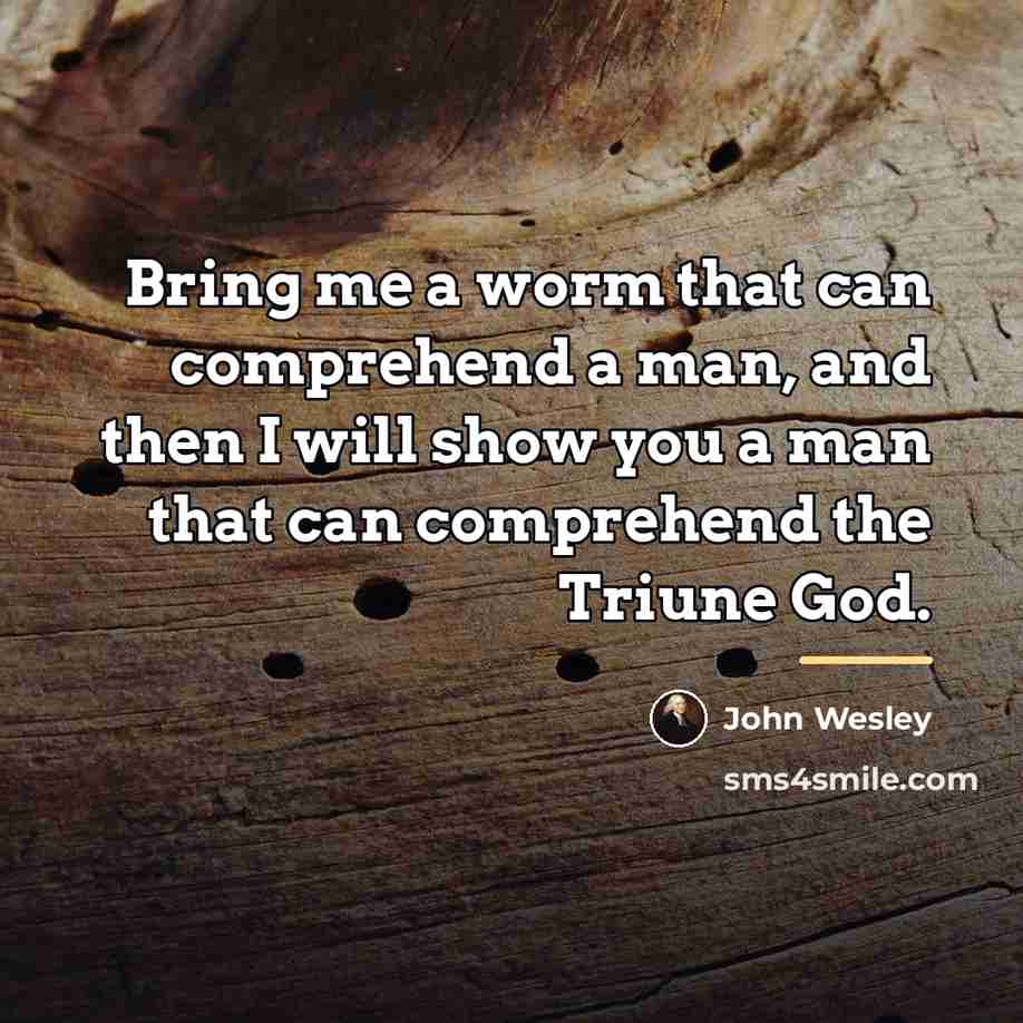 “Bring me a worm that can comprehend a man, and…” quote by John Wesley