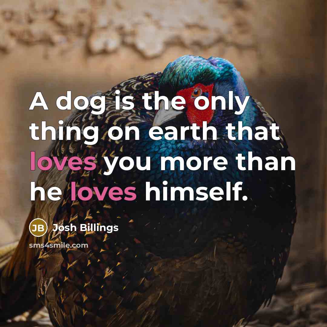 “A dog is the only thing on earth that loves you more than he loves himself.” quote by Josh Billings