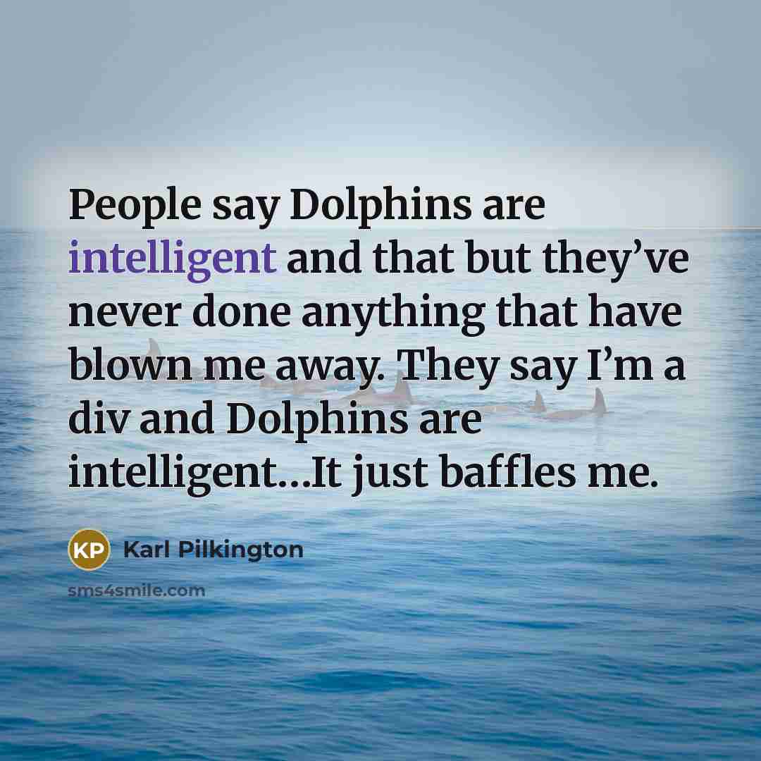 “People say Dolphins are intelligent and that but they’ve never…” quote by Karl Pilkington