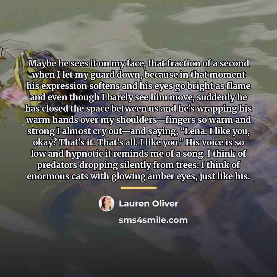 “Maybe he sees it on my face, that fraction of…” quote by Lauren Oliver