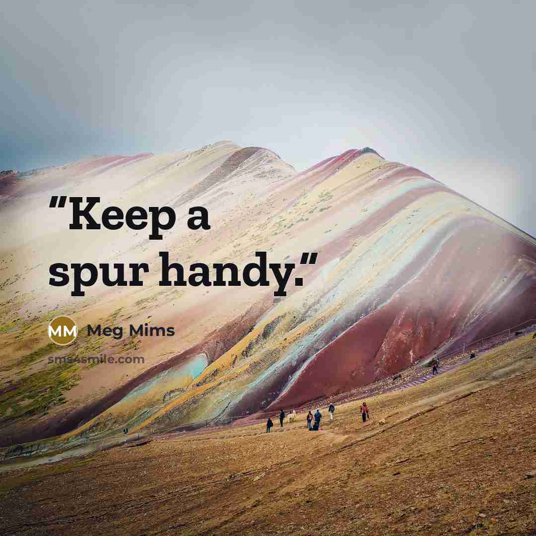 “Keep a spur handy.” quote by Meg Mims