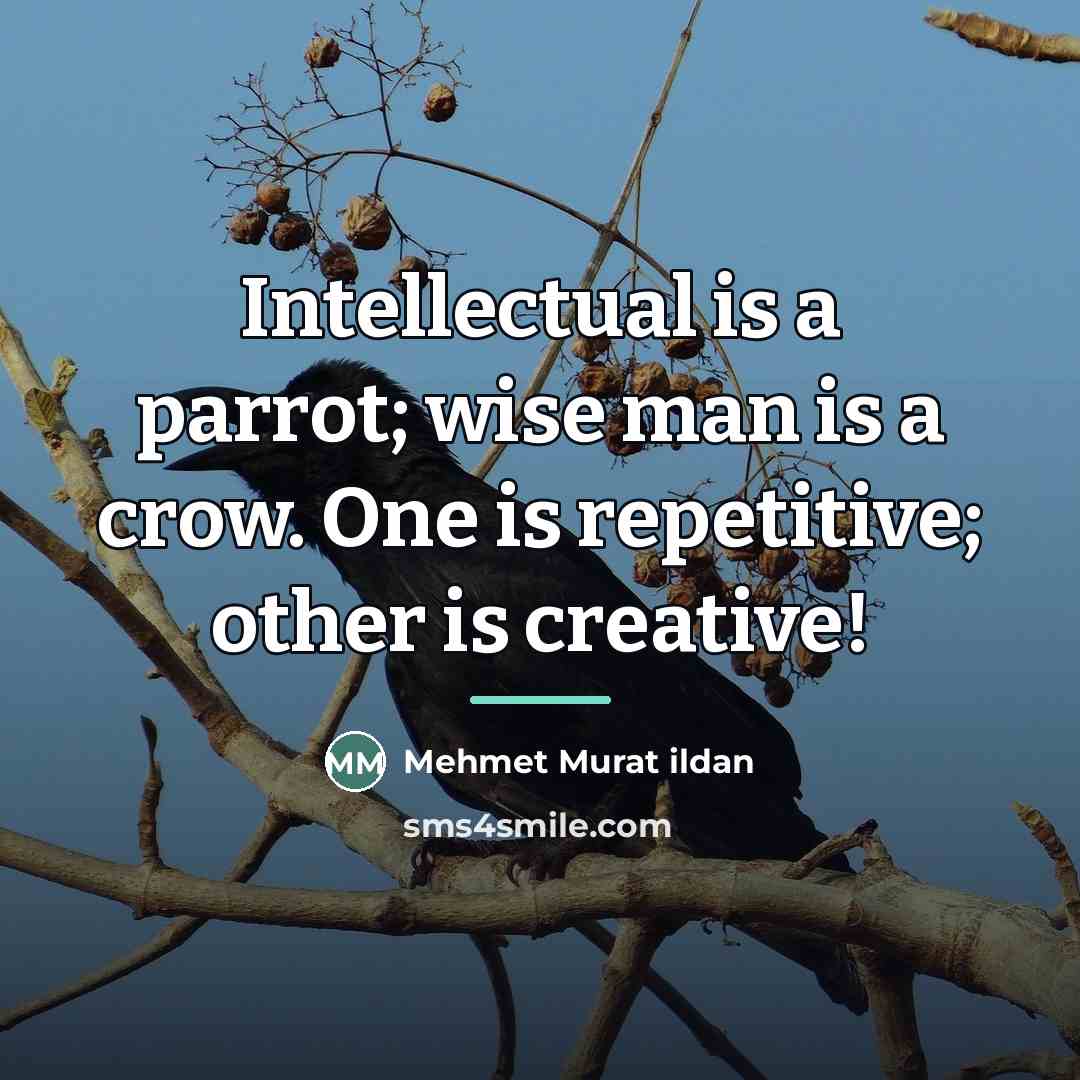 “Intellectual is a parrot; wise man is a crow. One…” quote by Mehmet Murat Ildan