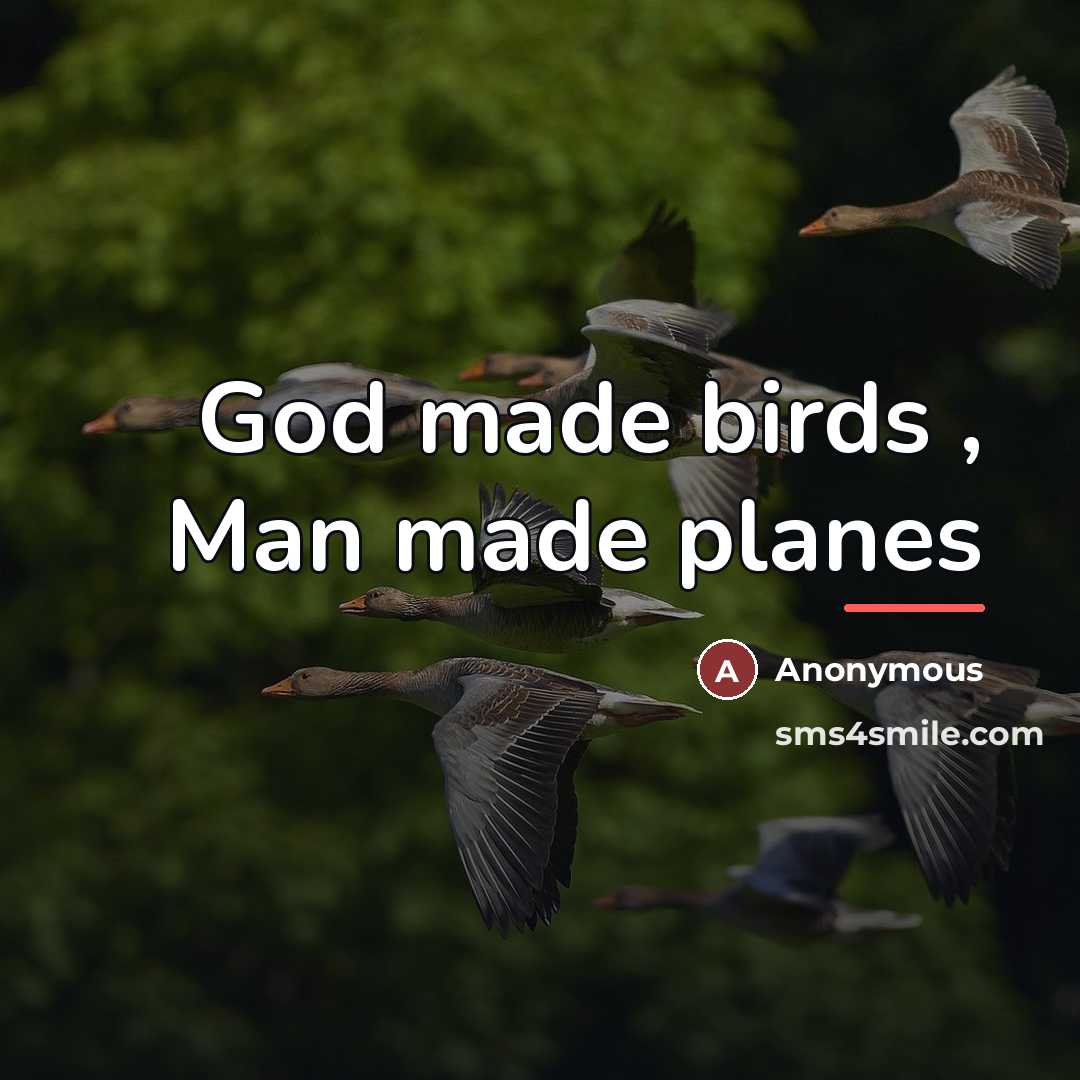 “God made birds , Man made planes…” quote by Anonymous