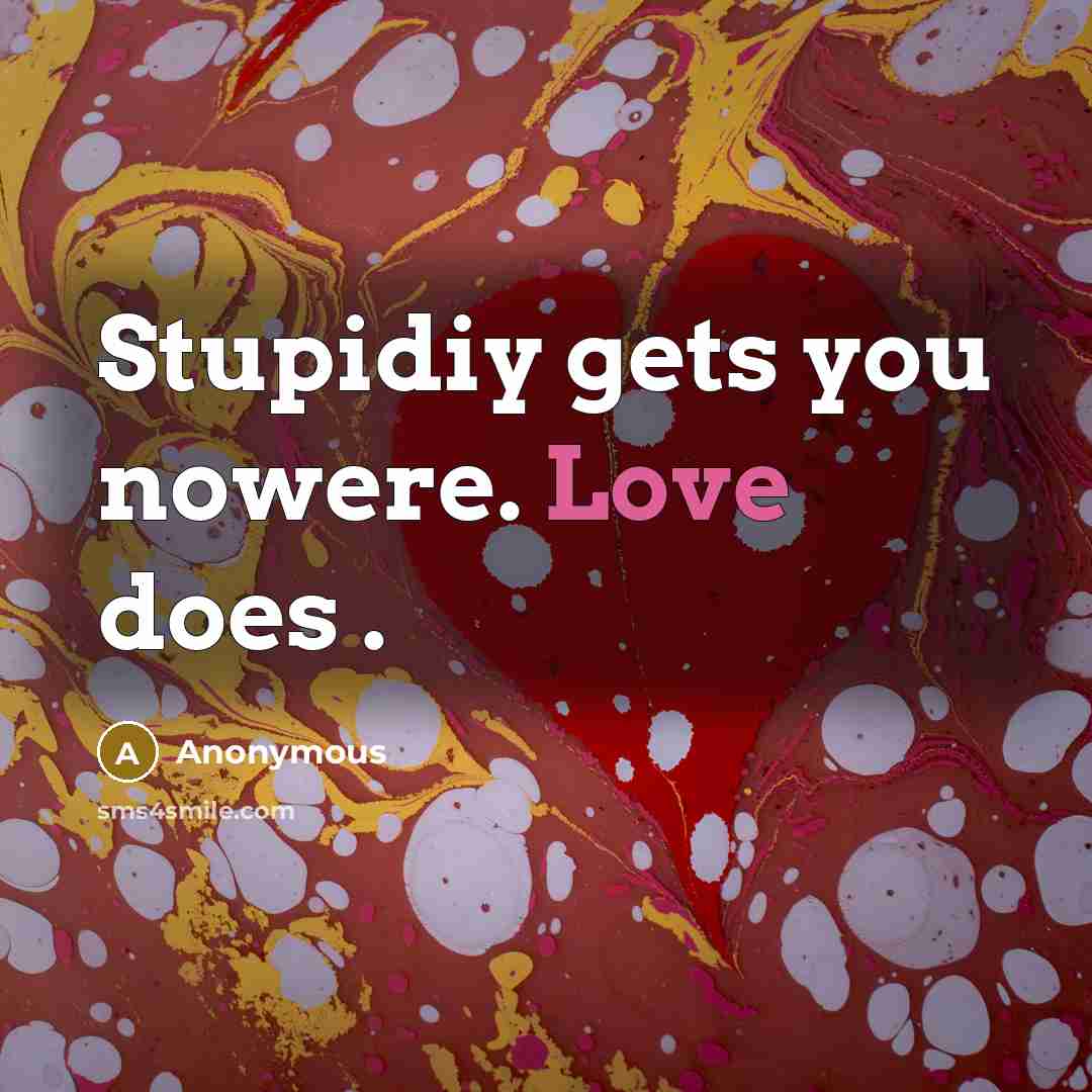 “Stupidiy gets you nowere. Love does .” quote by Anonymous