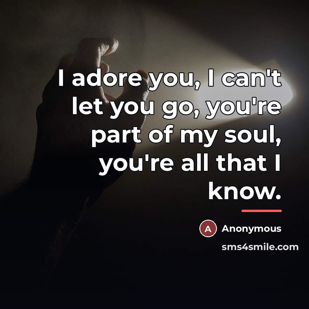 “I adore you, I can't let you go, you're part of my soul, you're all that I know.” quote by Anonymous