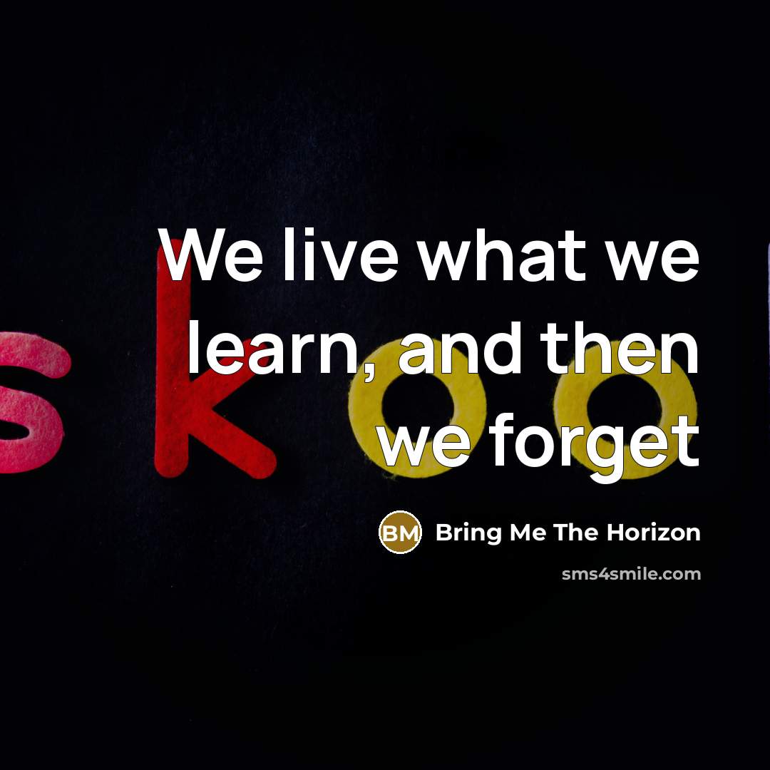 “We live what we learn, and then we forget…” quote by Bring Me The Horizon