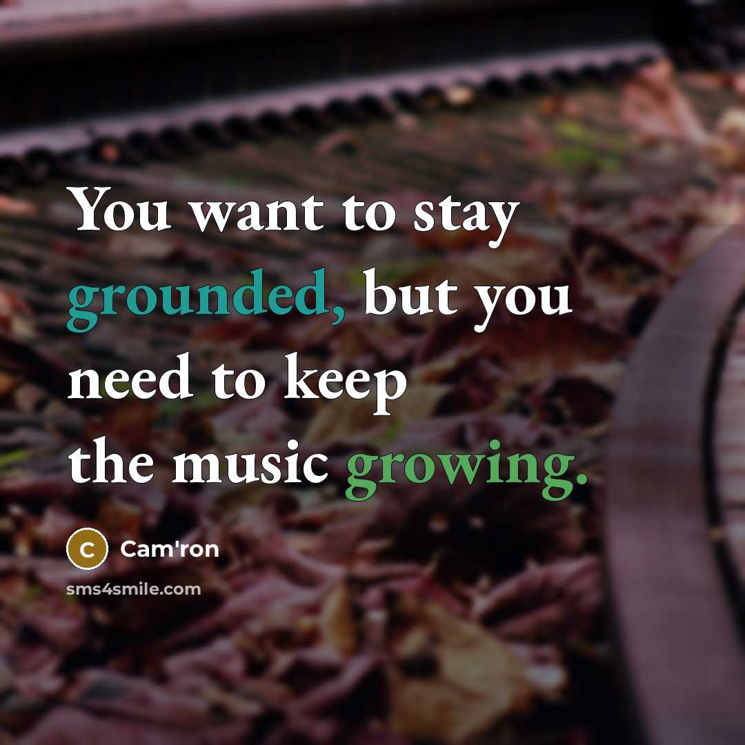 “You want to stay grounded, but you need to keep the music growing.” quote by Cam'ron