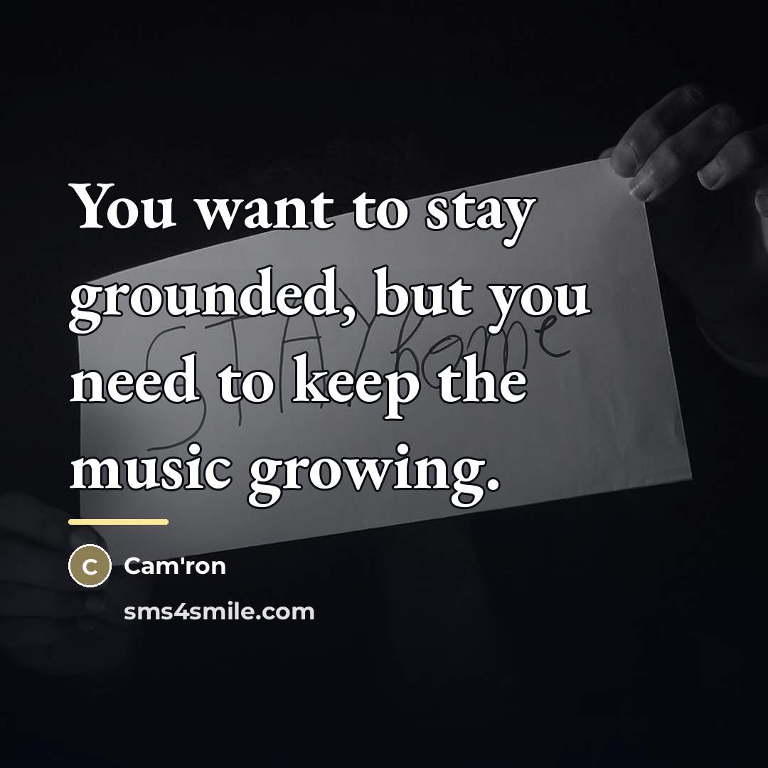 “You want to stay grounded, but you need to keep…” quote by Cam'ron