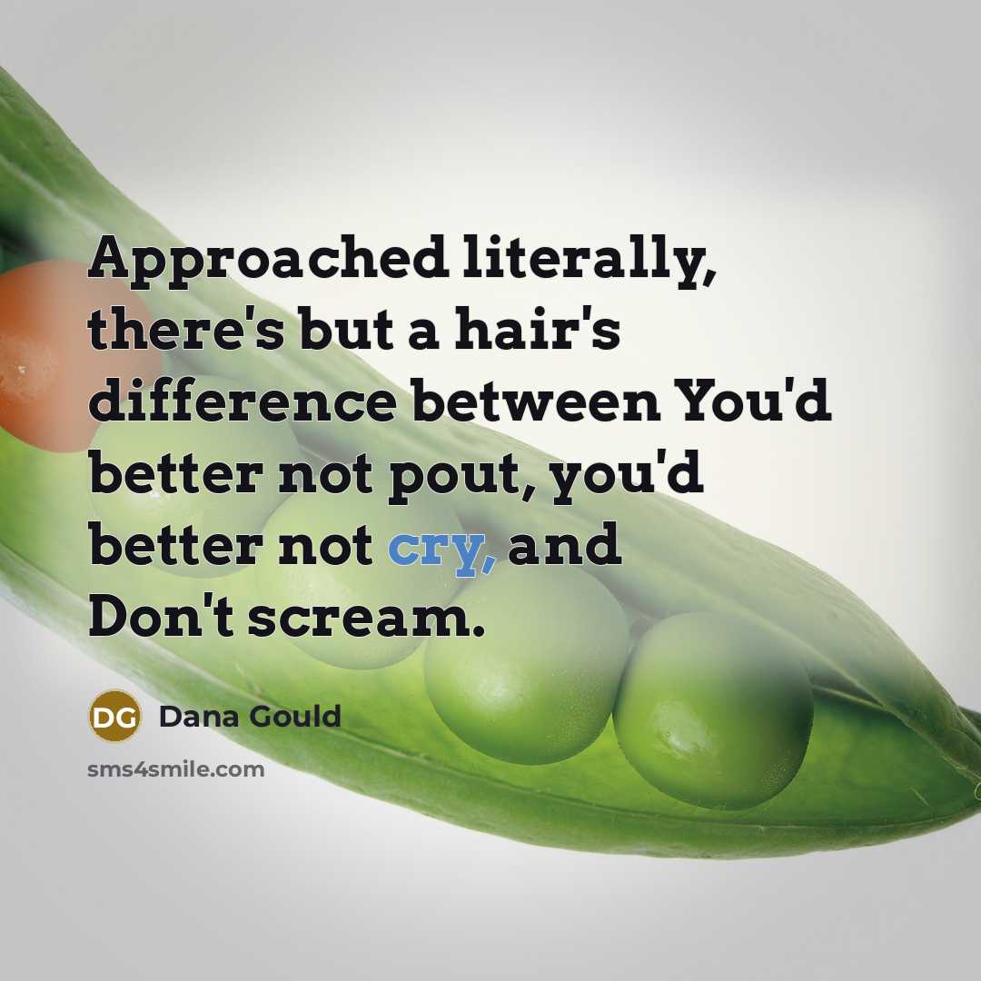 “Approached literally, there's but a hair's difference between You'd better…” quote by Dana Gould