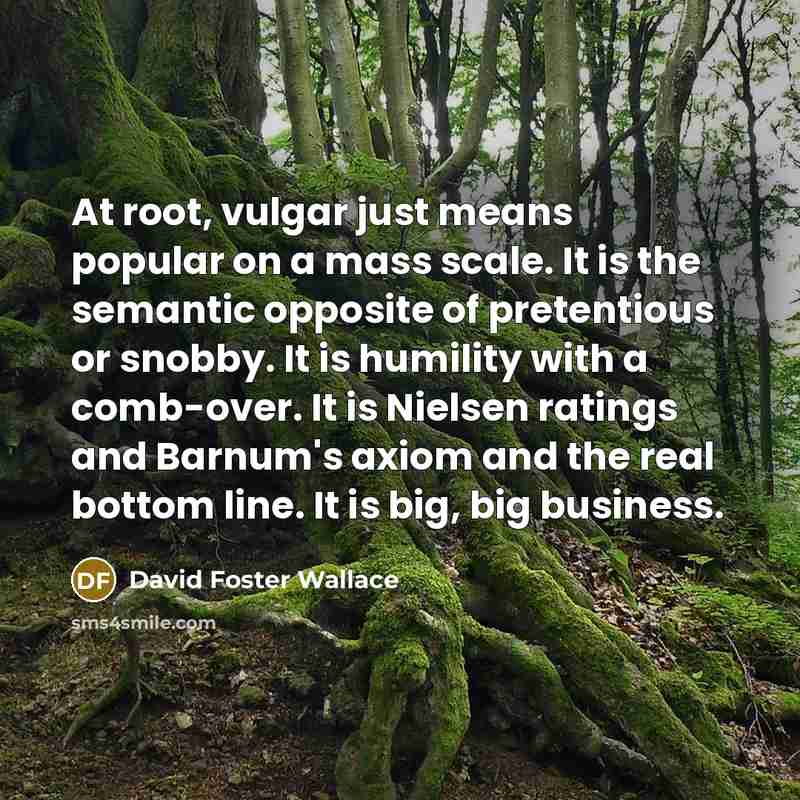 “At root, vulgar just means popular on a mass scale.…” quote by David Foster Wallace
