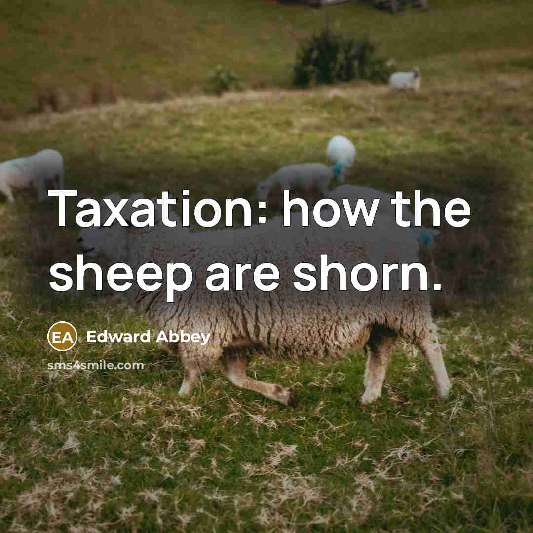 “Taxation: how the sheep are shorn.…” quote by Edward Abbey