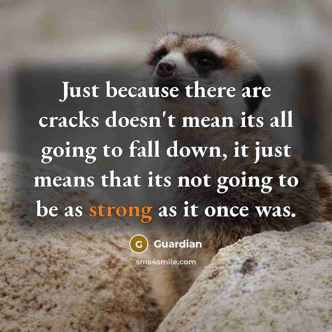 “Just because there are cracks doesn't mean its all going…” quote by Guardian