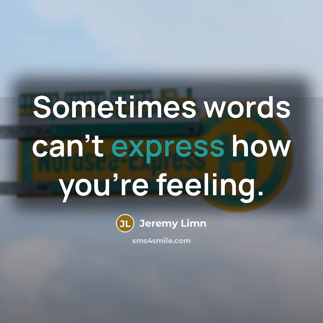 “Sometimes words can't express how you're feeling.” quote by Jeremy Limn