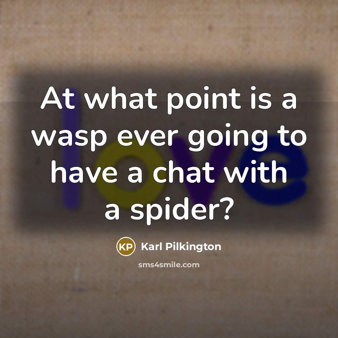 “At what point is a wasp ever going to have…” quote by Karl Pilkington
