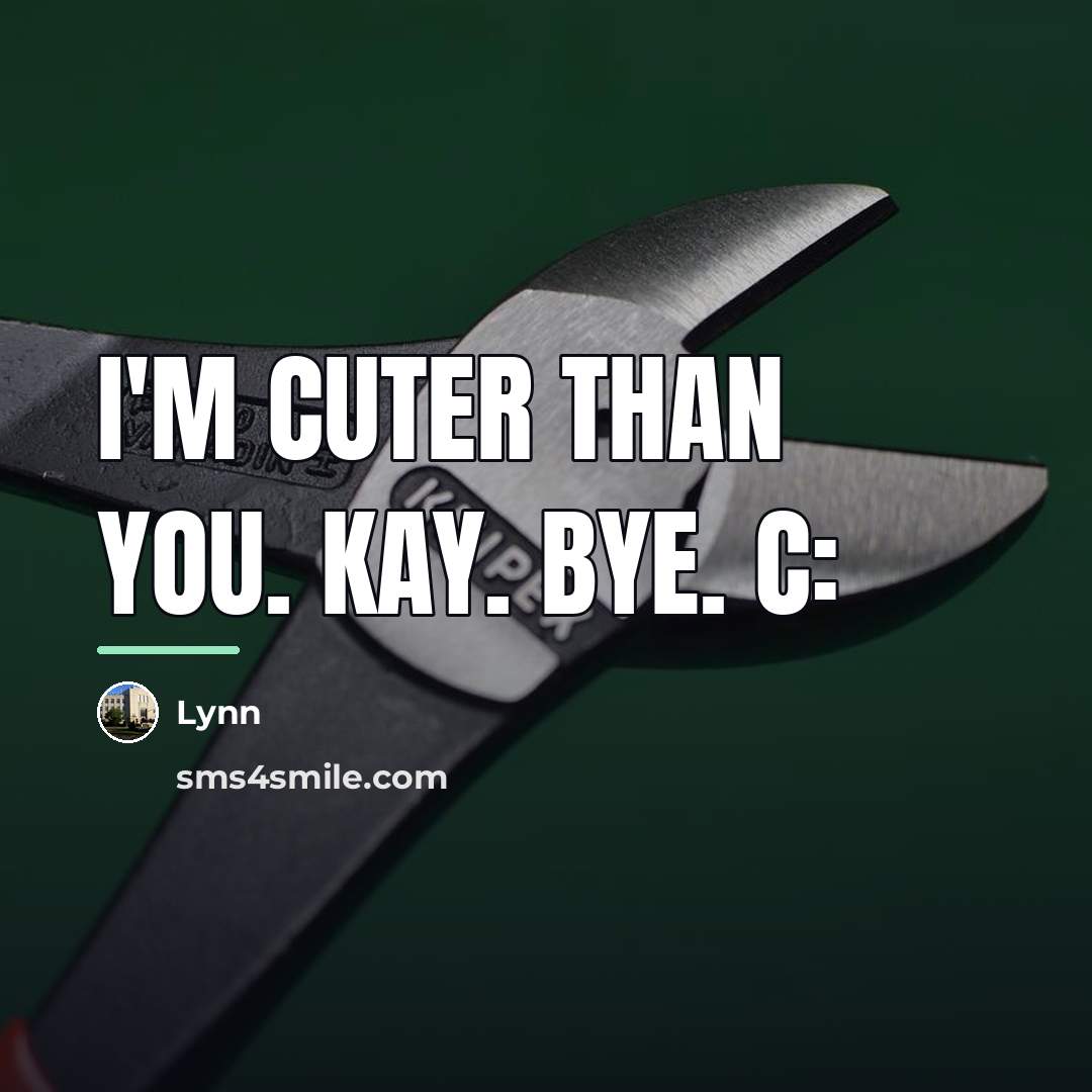“I'm cuter than you. Kay. Bye. c:…” quote by Lynn