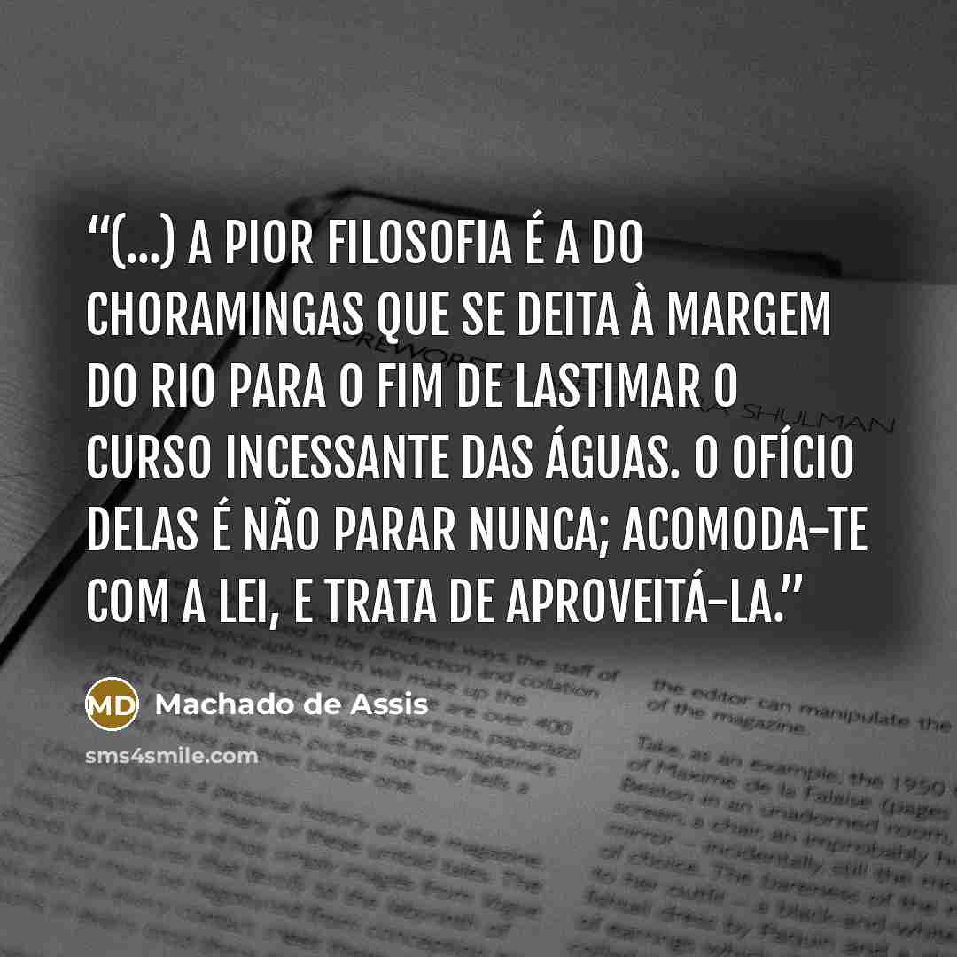 “(...) a pior filosofia é a do choramingas que se deita à margem do rio para o fim de lastimar o curso incessante das águas. O ofício delas é não parar nunca; acomoda-te com a lei, e trata de aproveitá-la.” quote by Machado de Assis