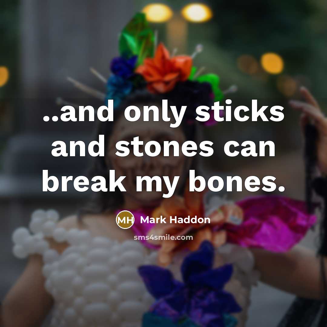 “..and only sticks and stones can break my bones.…” quote by Mark Haddon