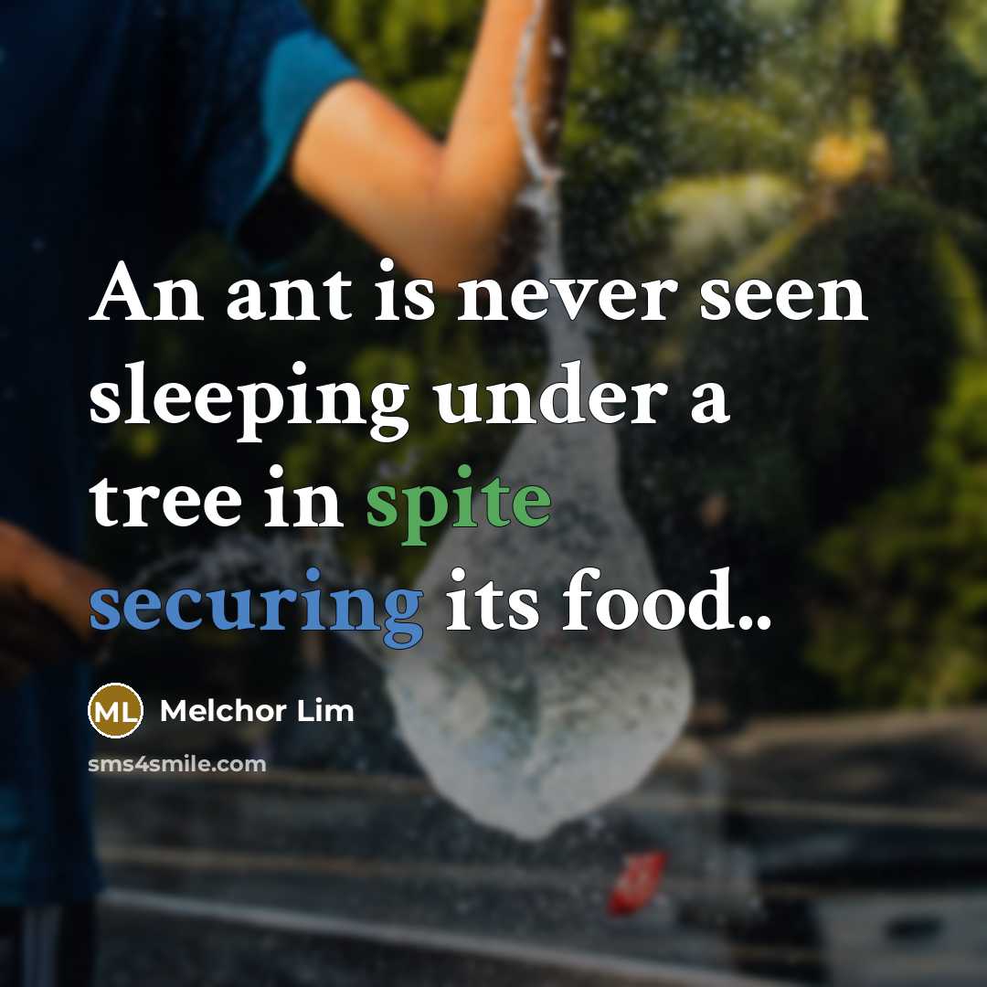 “An ant is never seen sleeping under a tree in spite securing its food..” quote by Melchor Lim
