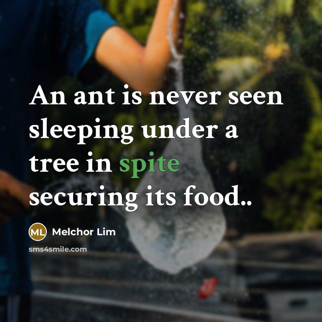 “An ant is never seen sleeping under a tree in…” quote by Melchor Lim