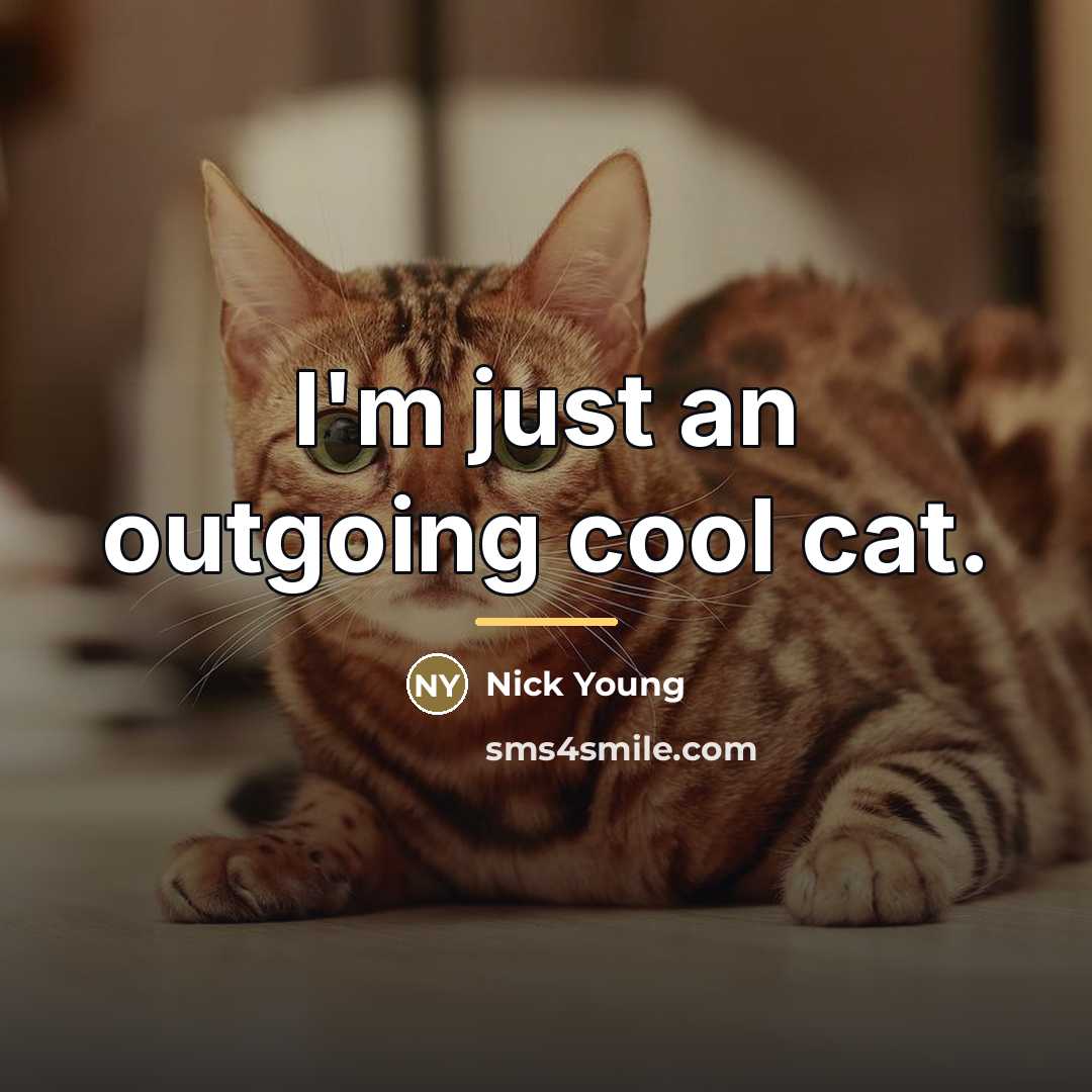 “I'm just an outgoing cool cat.…” quote by Nick Young