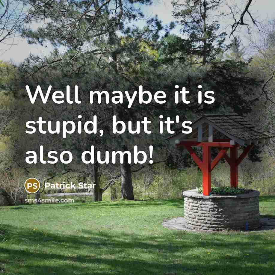 “Well maybe it is stupid, but it's also dumb!…” quote by Patrick Star
