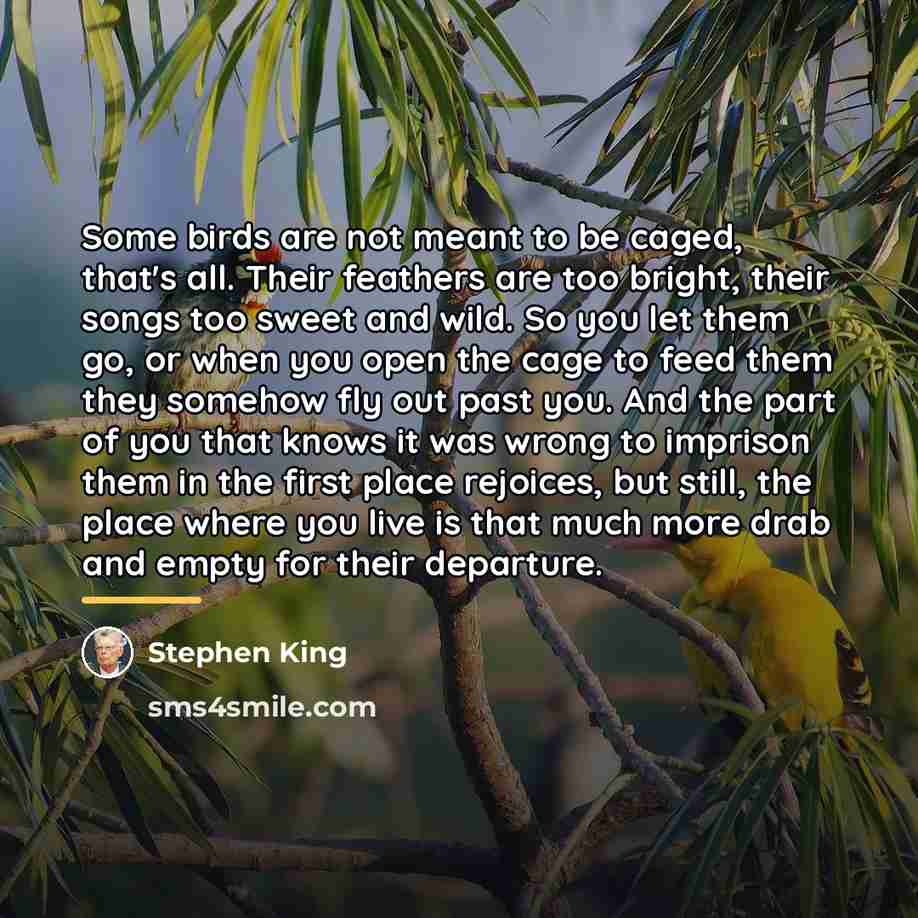 “Some birds are not meant to be caged, that's all.…” quote by Stephen King