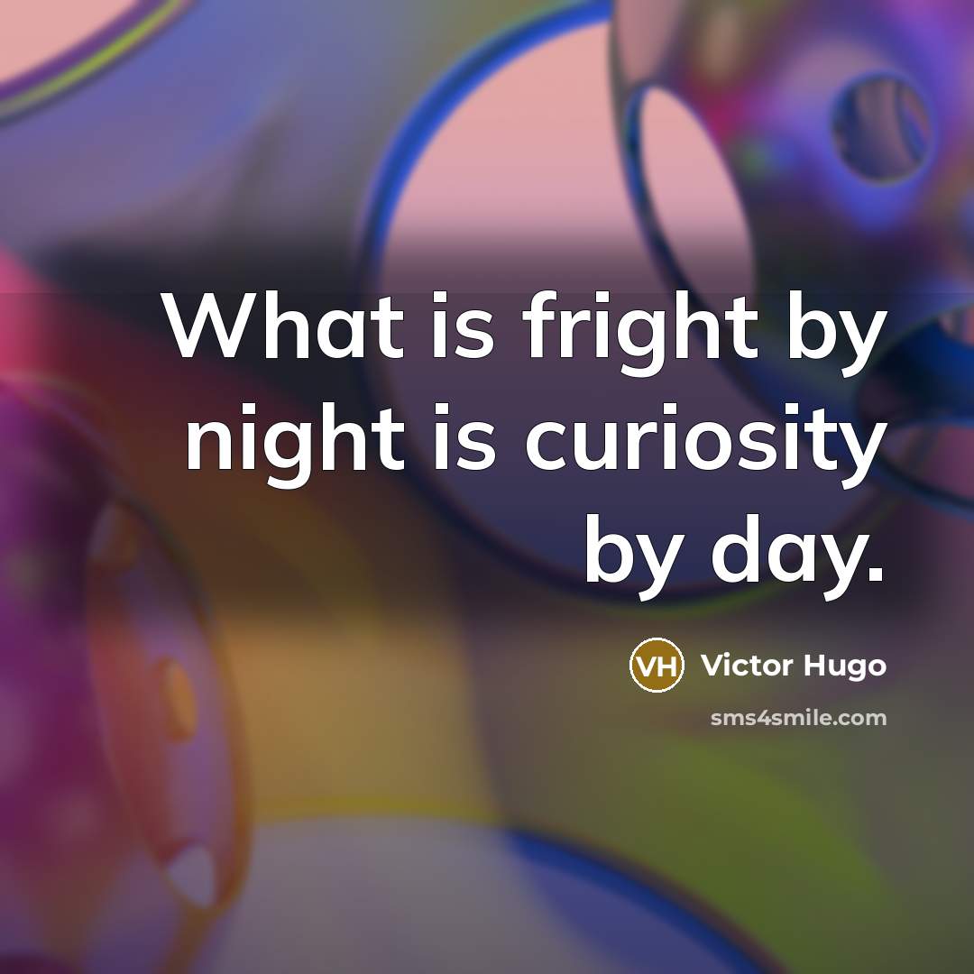 “What is fright by night is curiosity by day.…” quote by Victor Hugo